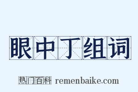 眼中丁组词是什么意思的图片